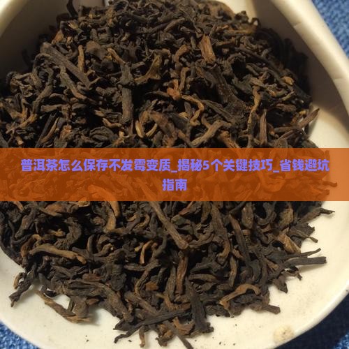 普洱茶怎么保存不发霉变质