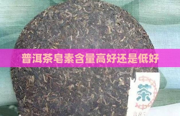 老普洱茶皂素多还是少的好