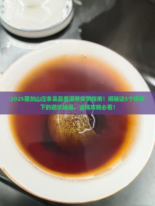 藏剑山庄非卖品普洱茶
