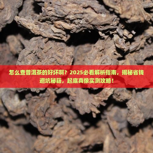 怎么查普洱茶的好坏啊