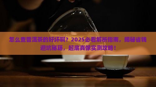 怎么查普洱茶的好坏啊