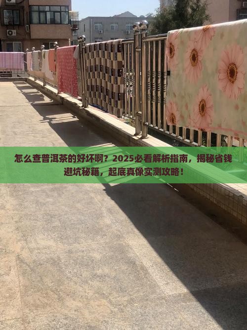 怎么查普洱茶的好坏啊