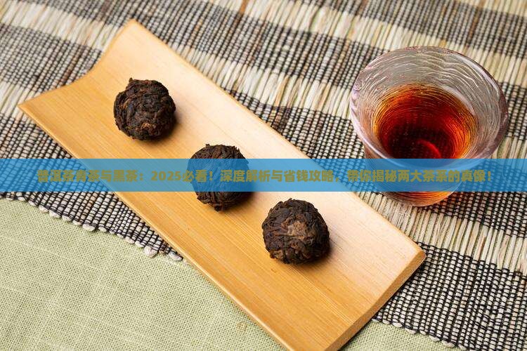 普洱茶青茶与黑茶