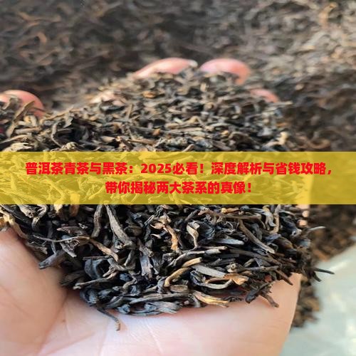 普洱茶青茶与黑茶