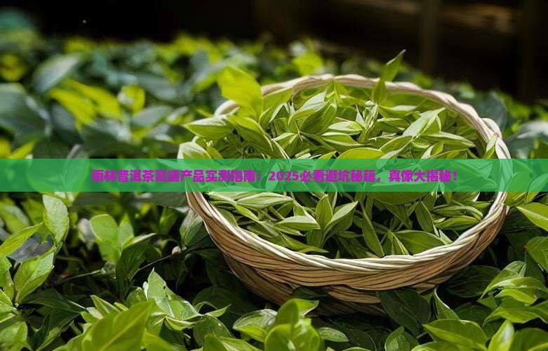 雨林普洱茶的高端产品