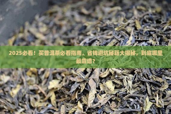 哪里买普洱茶最放心 哪里买普洱茶最放心
