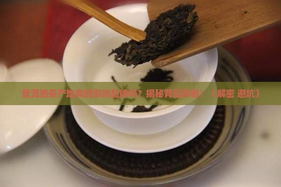 普洱茶熟茶产地和品牌有关系吗