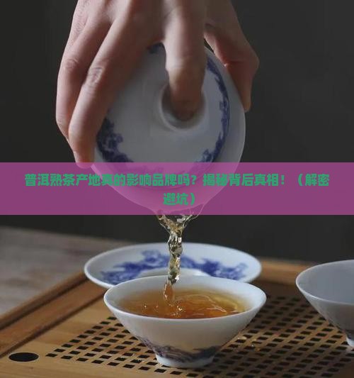 普洱茶熟茶产地和品牌有关系吗