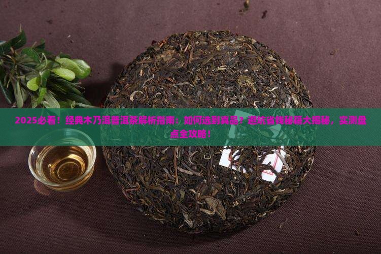 经典木乃洱普洱茶