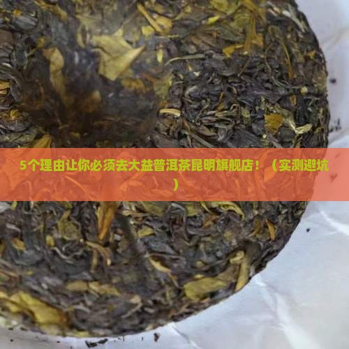 大益普洱茶昆明旗舰店