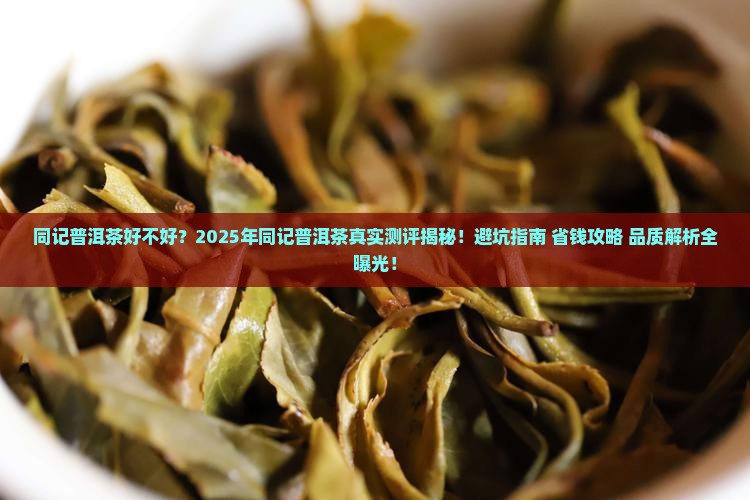 同记普洱茶好不好