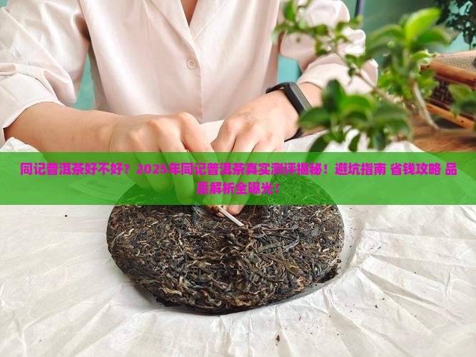 同记普洱茶好不好