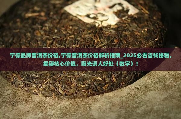 宁德品牌普洱茶价格