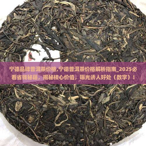宁德品牌普洱茶价格