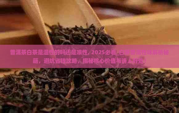 普洱茶白茶是温性的吗还是凉性