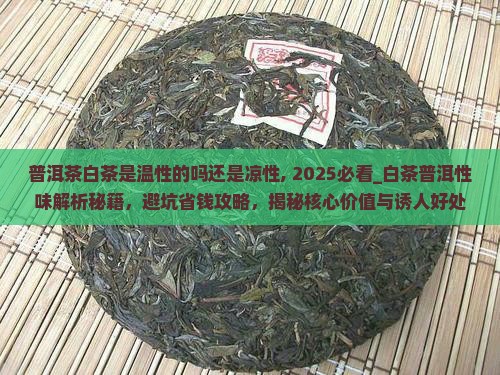 普洱茶白茶是温性的吗还是凉性