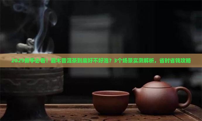 嘉木普洱茶好不好泡着喝