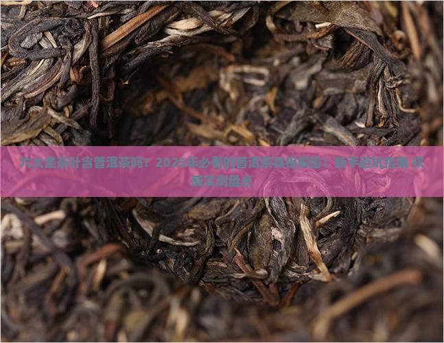 六大类茶叶含普洱茶吗