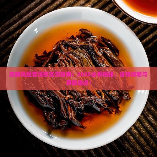 龙蟠凤逸普洱茶
