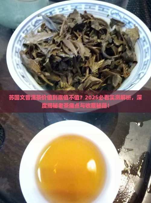 苏国文普洱茶价值