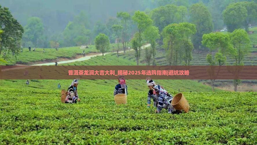 普洱茶龙润大吉大利