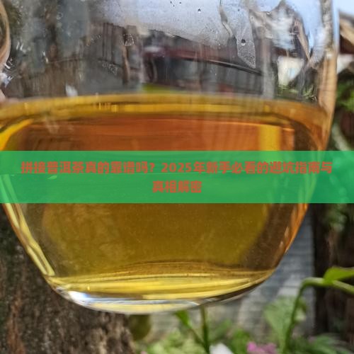 拼接普洱茶好不好