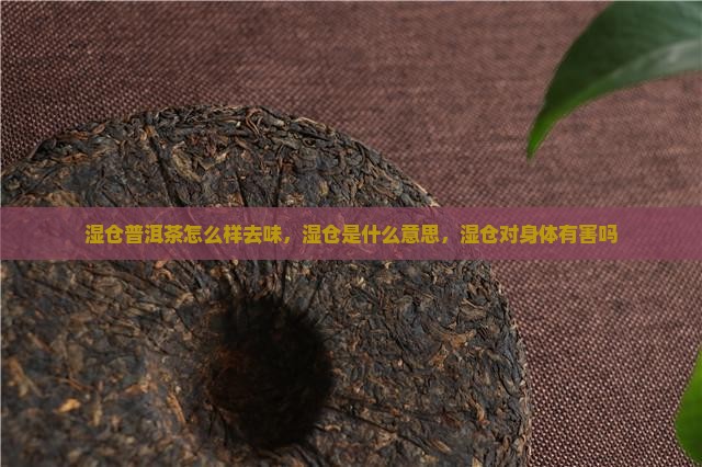 湿仓普洱茶怎么样去味