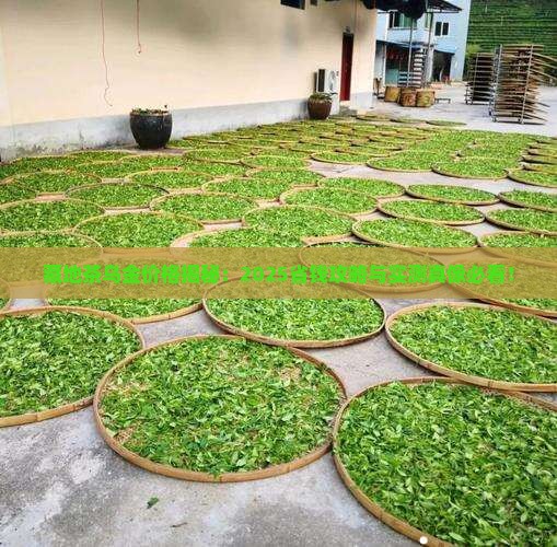 藏地茶乌金价格