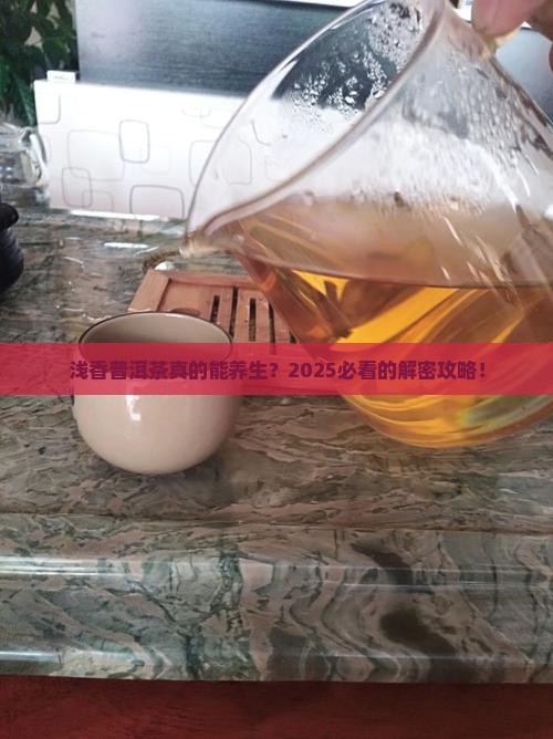 浅香普洱茶功效