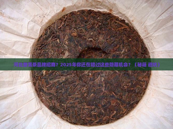 河北普洱茶品牌招商 河北普洱茶品牌招商