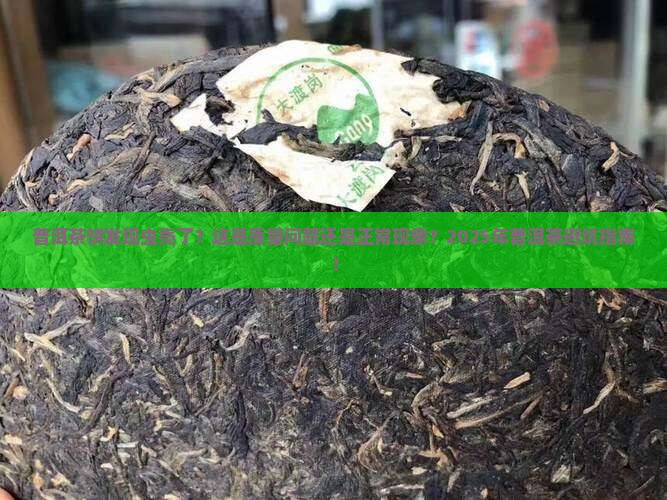 普洱茶饼发现虫壳了