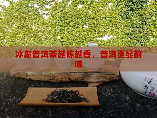 冰岛普洱茶越存越香