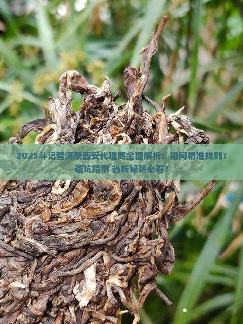 斗记普洱茶西安代理商在哪 斗记普洱茶西安代理商在哪