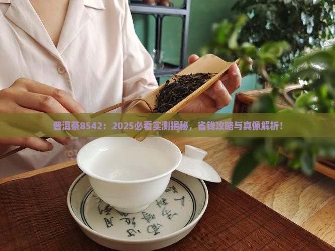 普洱茶8542