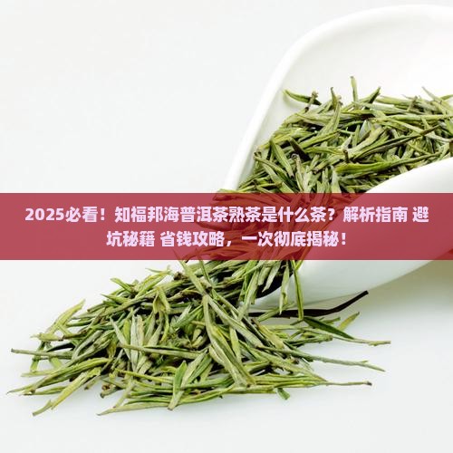 知福邦海普洱茶熟茶是什么茶