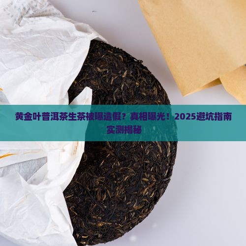 黄金叶普洱茶生茶作假