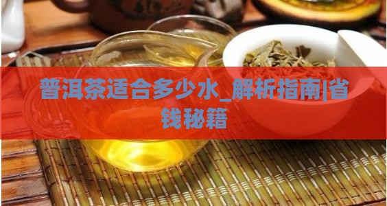 普洱茶适合多少水