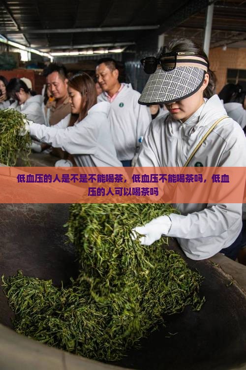 低血压的人是不是不能喝茶