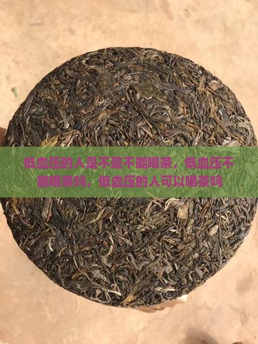 低血压的人是不是不能喝茶