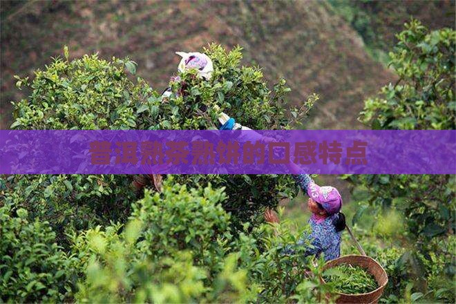 普洱熟饼茶的口感特点