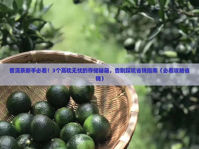 高枕无忧的普洱茶