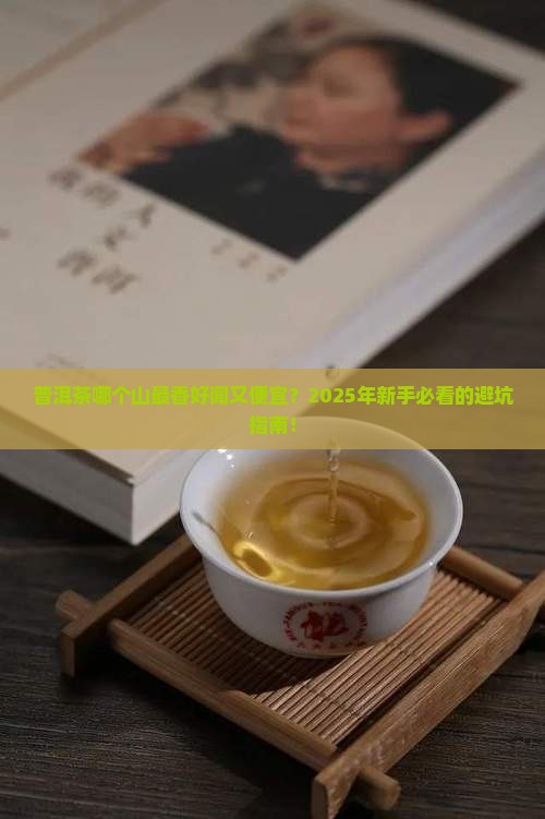 普洱茶哪个山最香好闻又便宜