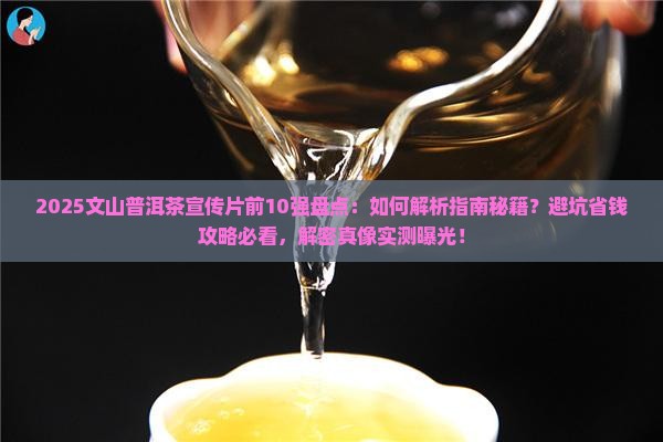文山普洱茶宣传片前10强