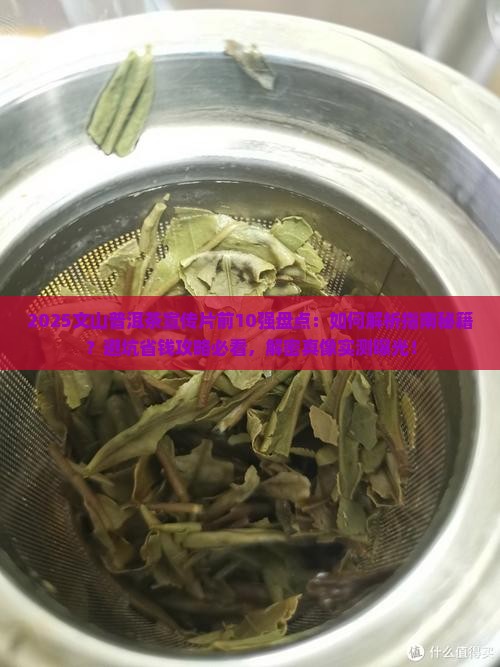 文山普洱茶宣传片前10强