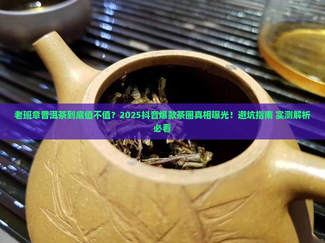 老班章普洱茶抖音