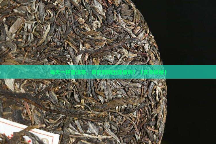 普洱茶含茶多酚量