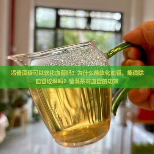 喝普洱茶可以软化血管吗