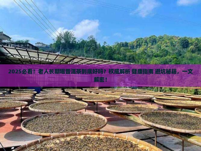老人长期喝普洱茶好吗