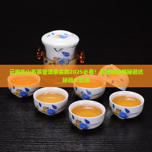 云南名山名寨普洱茶
