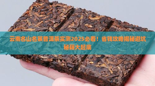 云南名山名寨普洱茶
